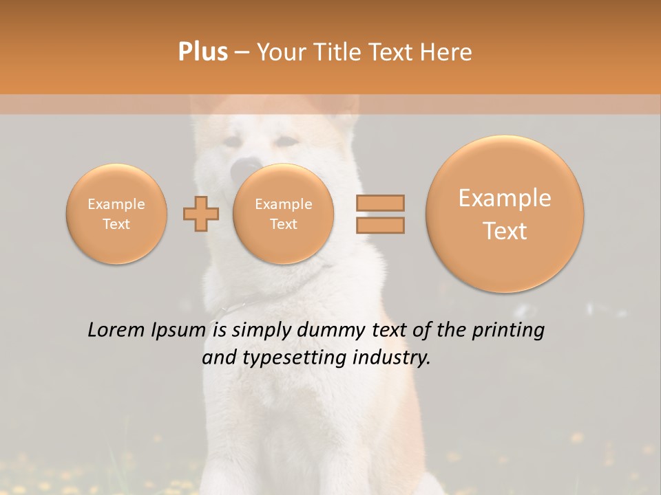 A White And Brown Dog Sitting In A Field Of Flowers PowerPoint Template