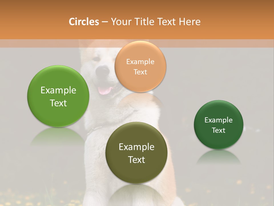 A White And Brown Dog Sitting In A Field Of Flowers PowerPoint Template