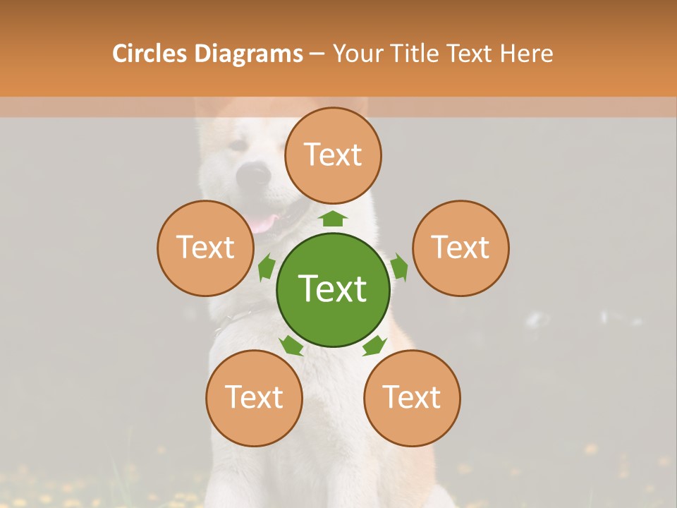 A White And Brown Dog Sitting In A Field Of Flowers PowerPoint Template