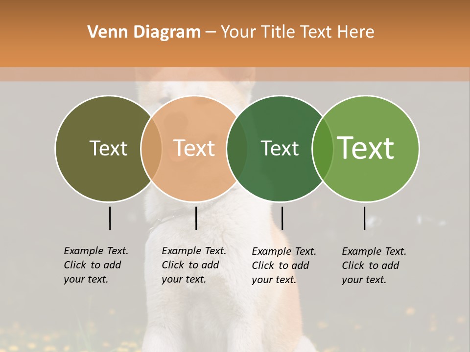 A White And Brown Dog Sitting In A Field Of Flowers PowerPoint Template