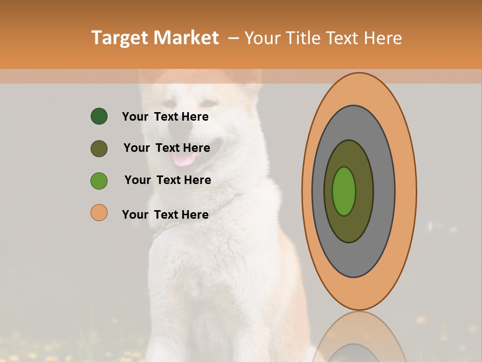 A White And Brown Dog Sitting In A Field Of Flowers PowerPoint Template