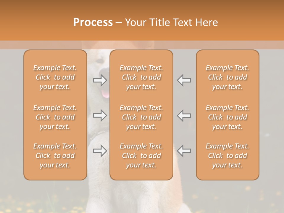 A White And Brown Dog Sitting In A Field Of Flowers PowerPoint Template