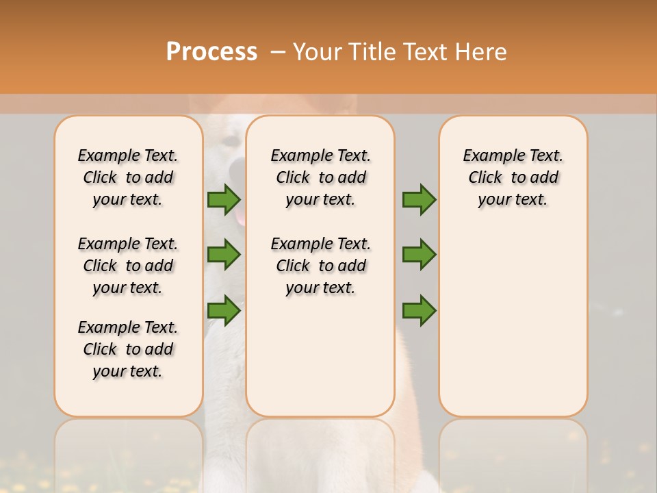 A White And Brown Dog Sitting In A Field Of Flowers PowerPoint Template