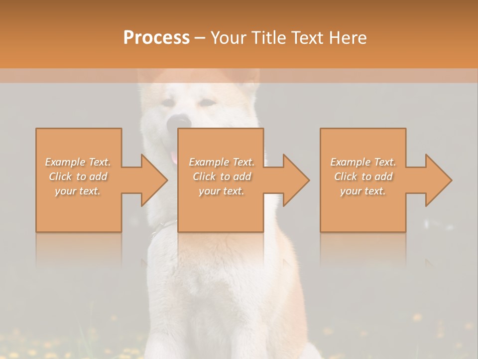 A White And Brown Dog Sitting In A Field Of Flowers PowerPoint Template