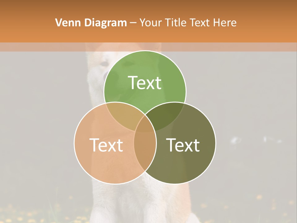 A White And Brown Dog Sitting In A Field Of Flowers PowerPoint Template