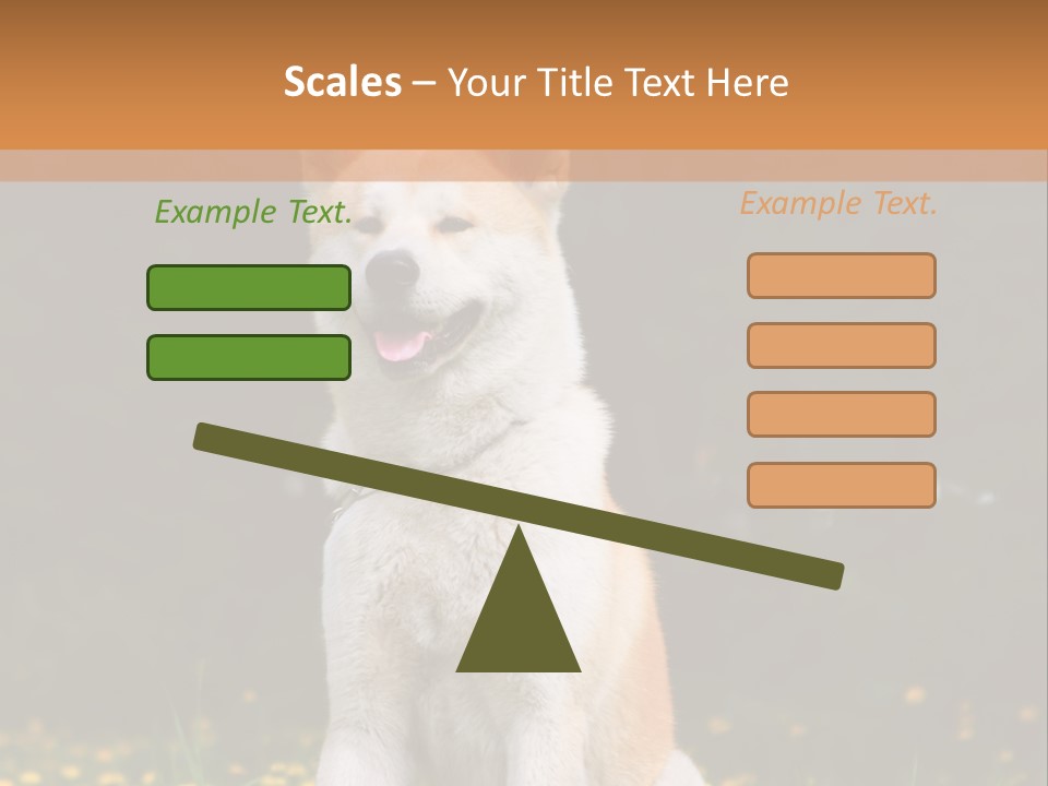 A White And Brown Dog Sitting In A Field Of Flowers PowerPoint Template