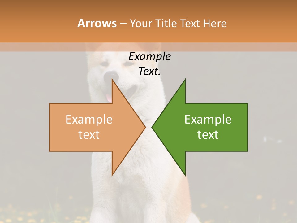 A White And Brown Dog Sitting In A Field Of Flowers PowerPoint Template