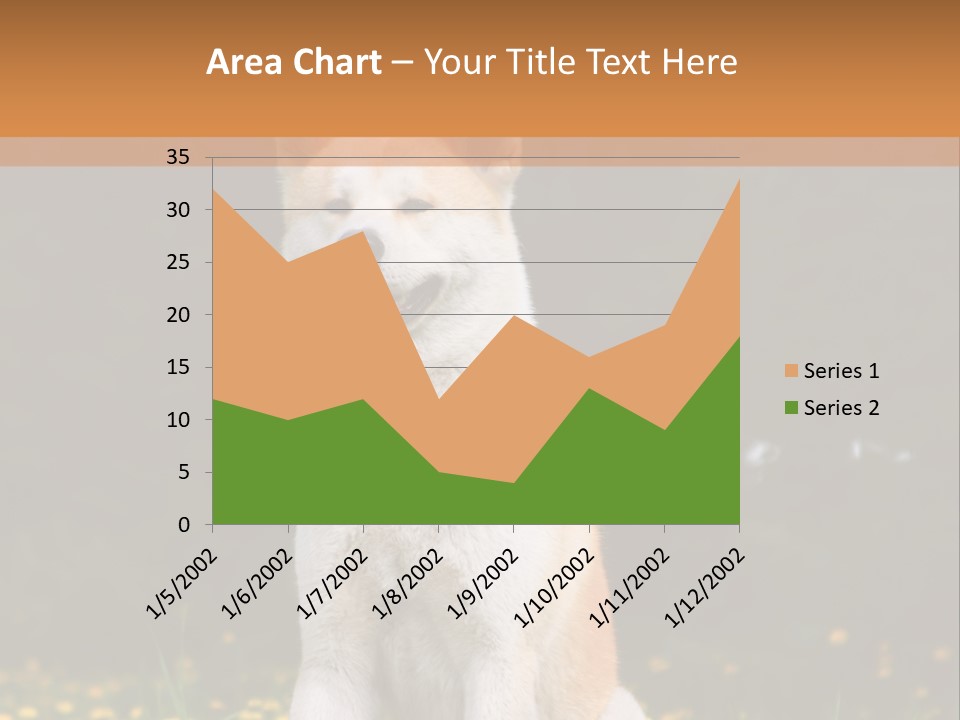 A White And Brown Dog Sitting In A Field Of Flowers PowerPoint Template