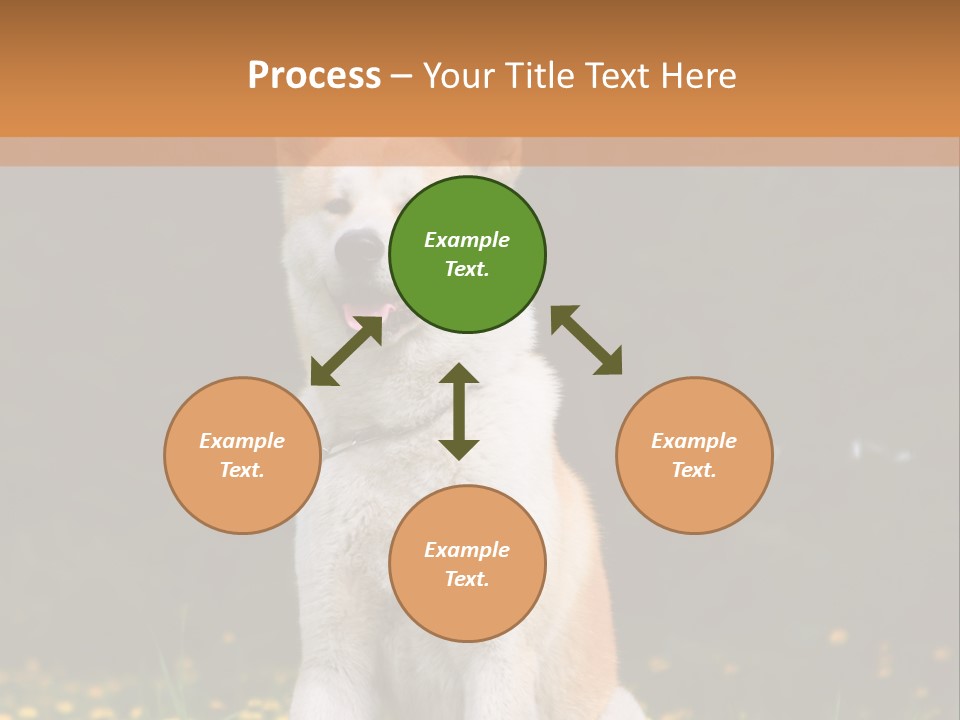 A White And Brown Dog Sitting In A Field Of Flowers PowerPoint Template