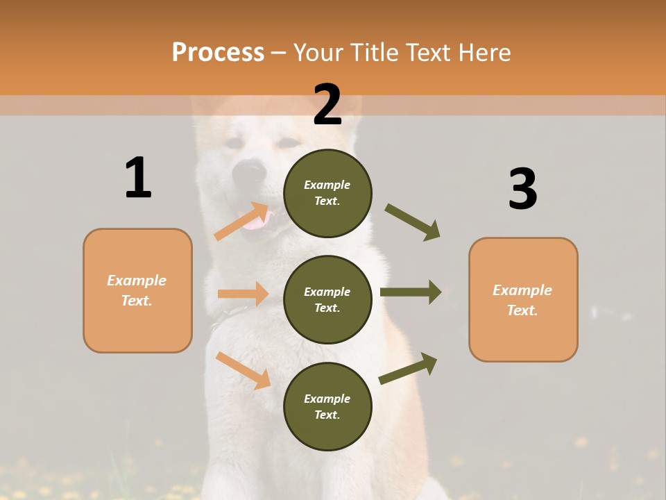 A White And Brown Dog Sitting In A Field Of Flowers PowerPoint Template