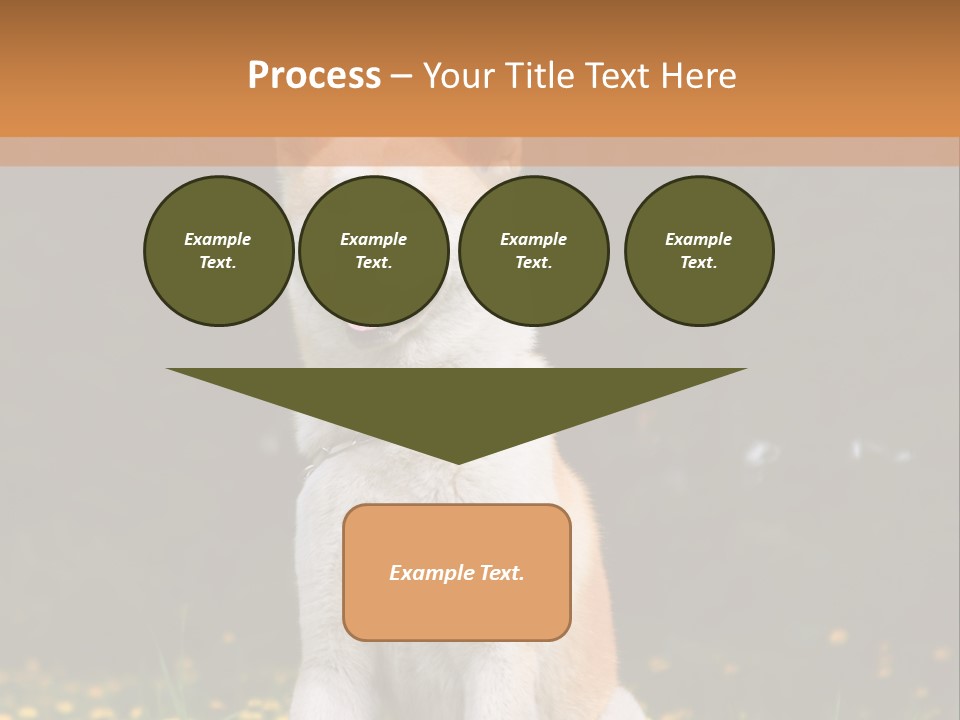 A White And Brown Dog Sitting In A Field Of Flowers PowerPoint Template