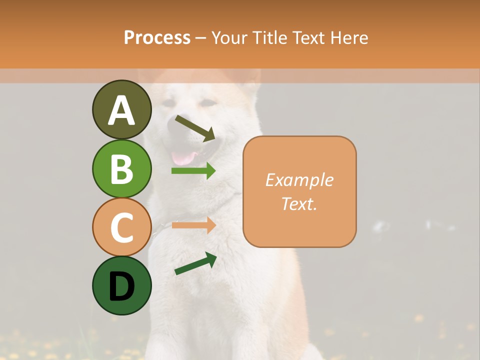 A White And Brown Dog Sitting In A Field Of Flowers PowerPoint Template