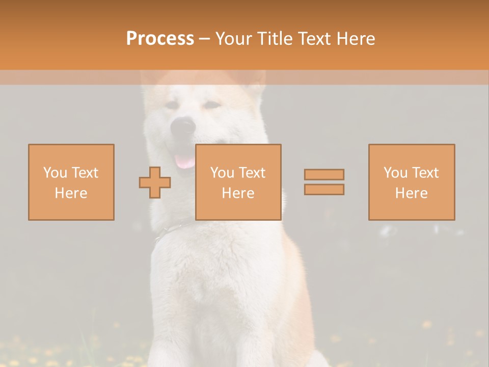 A White And Brown Dog Sitting In A Field Of Flowers PowerPoint Template