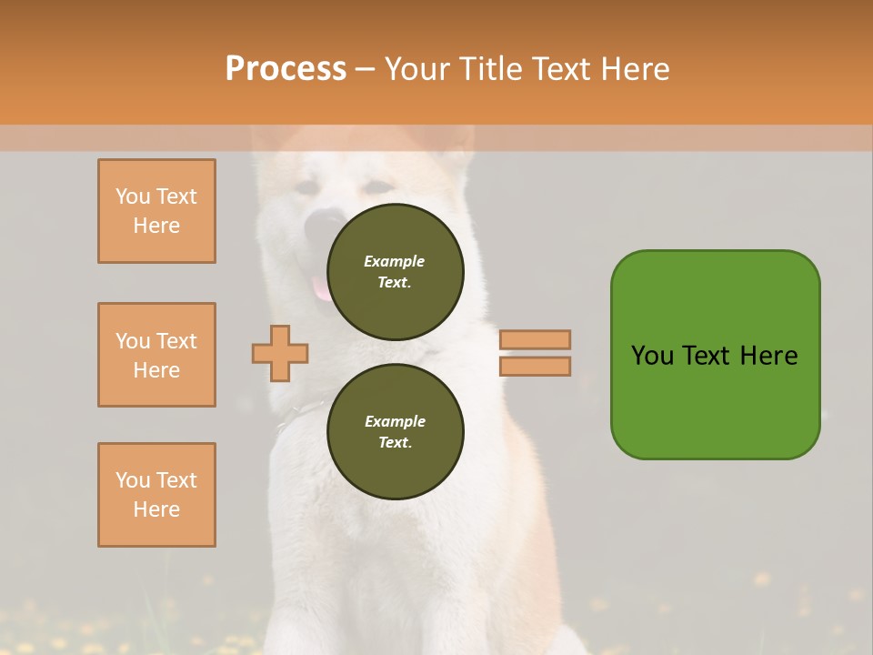 A White And Brown Dog Sitting In A Field Of Flowers PowerPoint Template