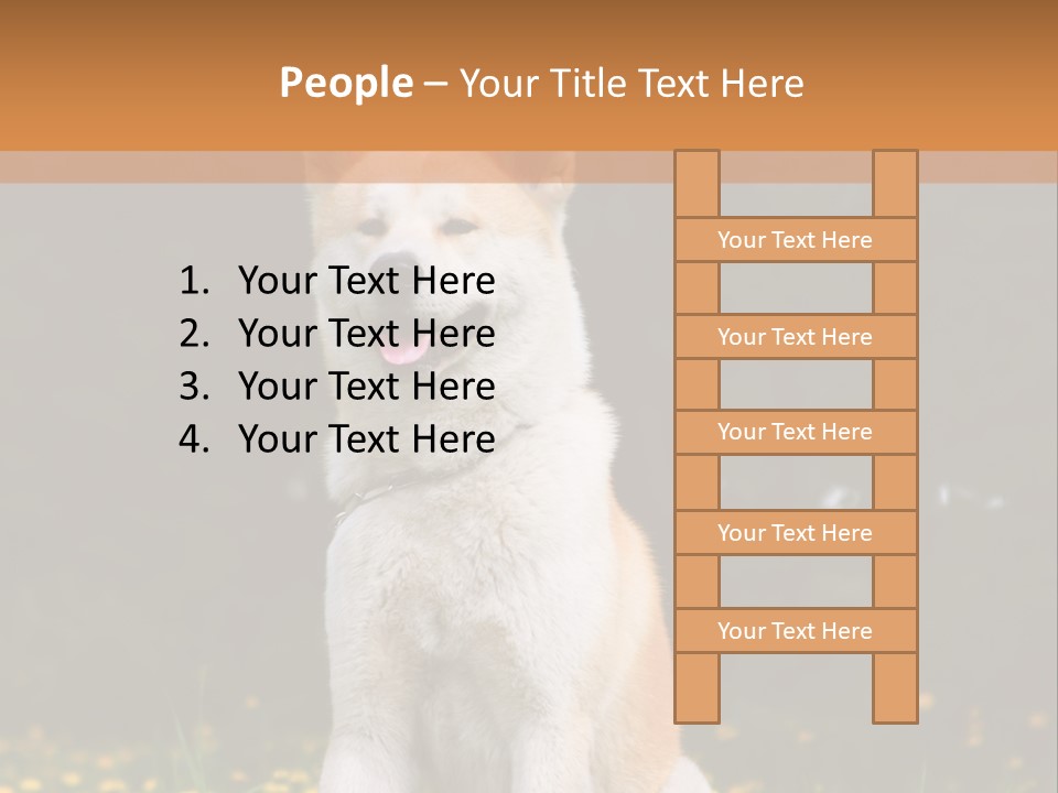 A White And Brown Dog Sitting In A Field Of Flowers PowerPoint Template