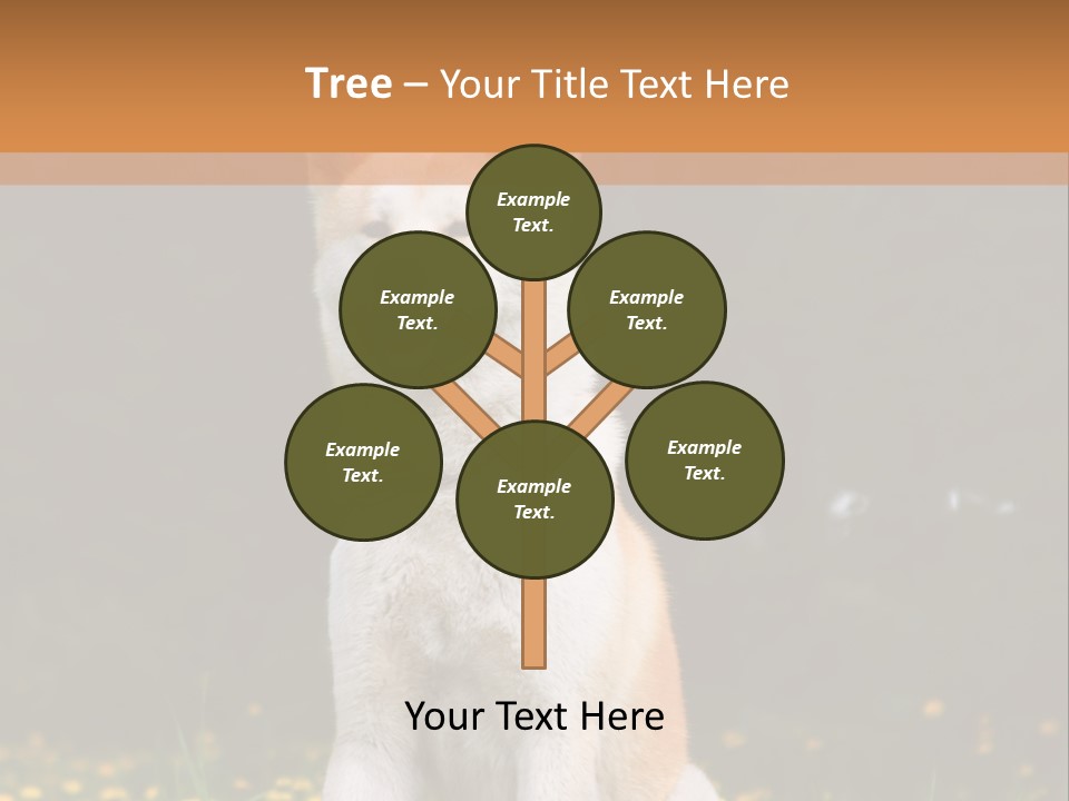 A White And Brown Dog Sitting In A Field Of Flowers PowerPoint Template