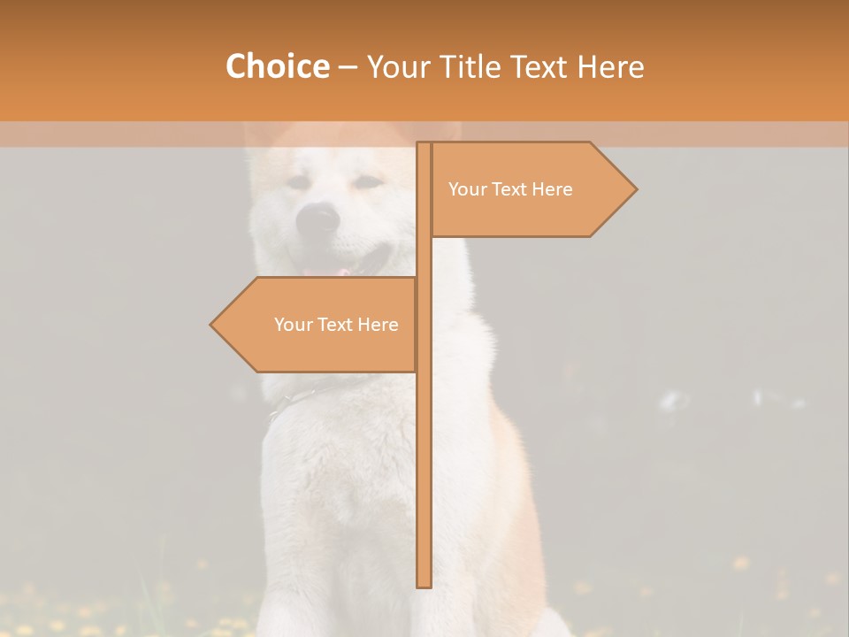 A White And Brown Dog Sitting In A Field Of Flowers PowerPoint Template