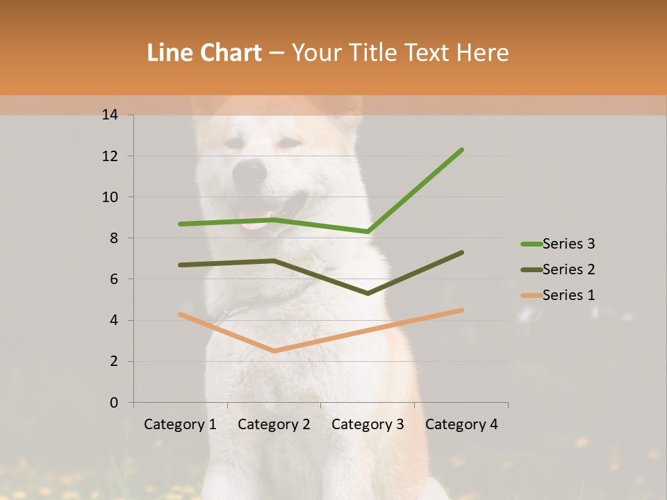 A White And Brown Dog Sitting In A Field Of Flowers PowerPoint Template