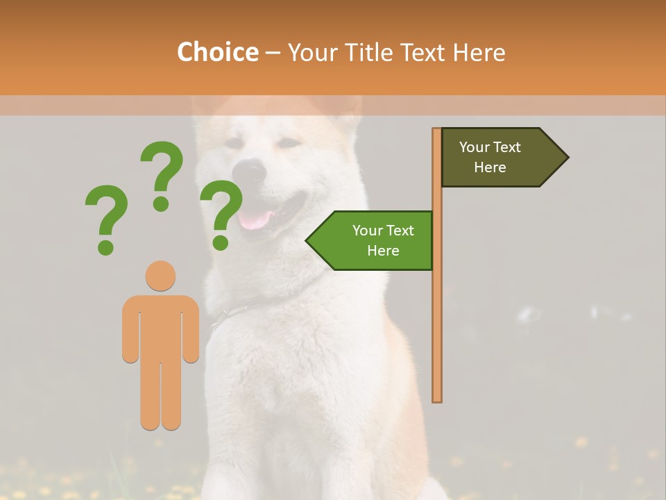 A White And Brown Dog Sitting In A Field Of Flowers PowerPoint Template