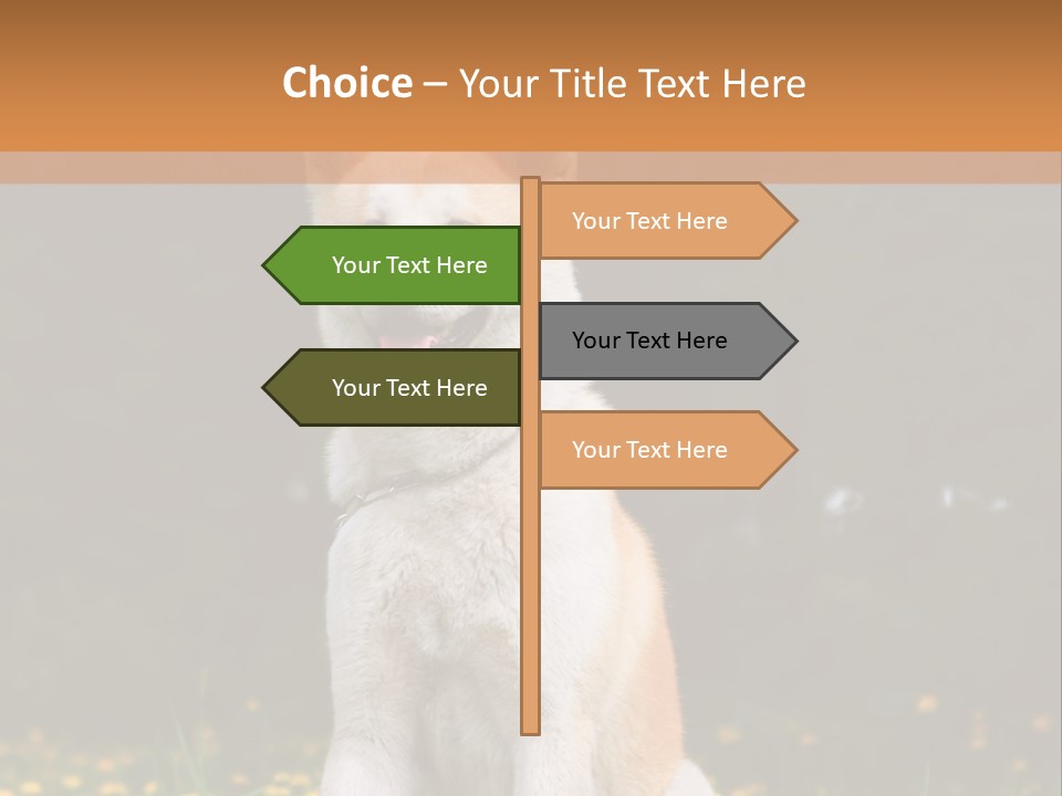 A White And Brown Dog Sitting In A Field Of Flowers PowerPoint Template