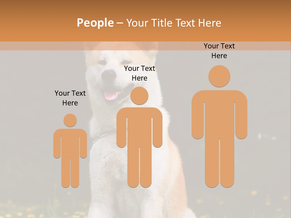 A White And Brown Dog Sitting In A Field Of Flowers PowerPoint Template