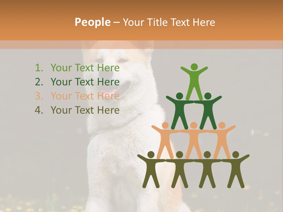 A White And Brown Dog Sitting In A Field Of Flowers PowerPoint Template