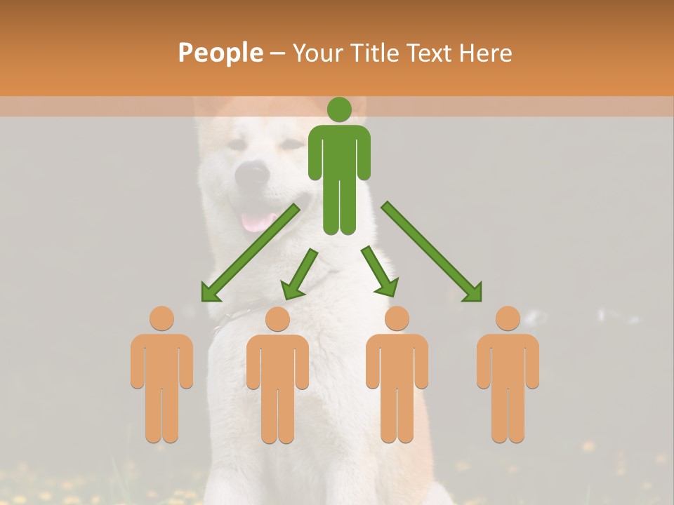 A White And Brown Dog Sitting In A Field Of Flowers PowerPoint Template