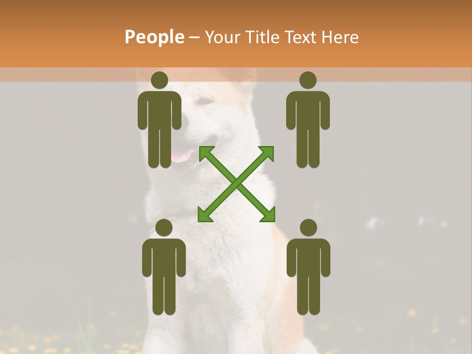 A White And Brown Dog Sitting In A Field Of Flowers PowerPoint Template