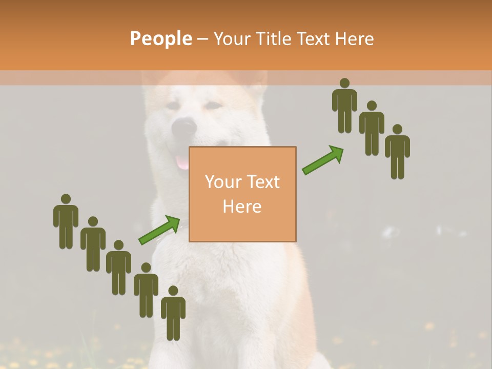 A White And Brown Dog Sitting In A Field Of Flowers PowerPoint Template