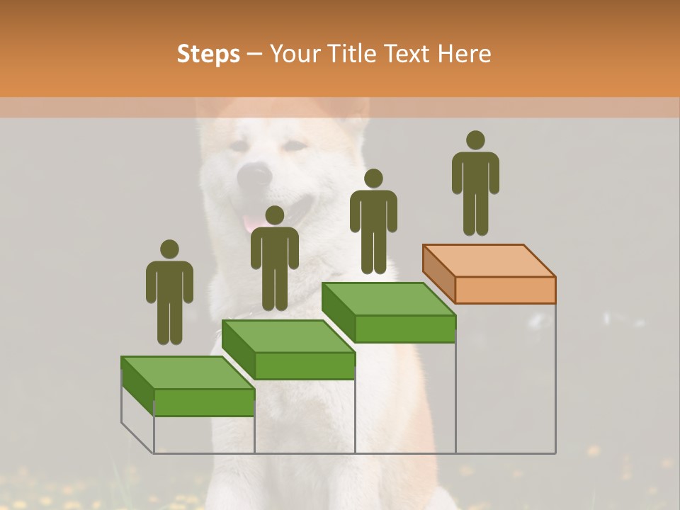 A White And Brown Dog Sitting In A Field Of Flowers PowerPoint Template