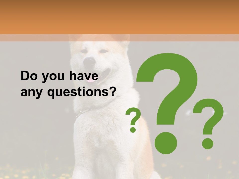 A White And Brown Dog Sitting In A Field Of Flowers PowerPoint Template
