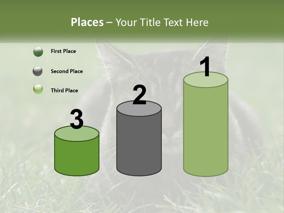 A Cat Laying In The Grass Looking At The Camera PowerPoint Template