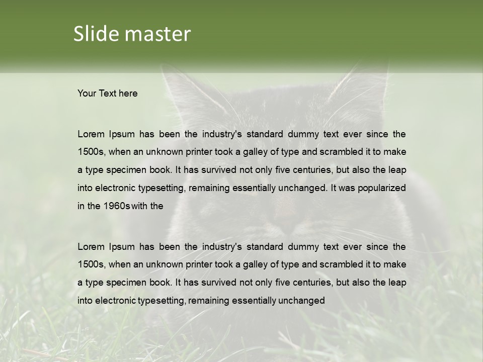 A Cat Laying In The Grass Looking At The Camera PowerPoint Template