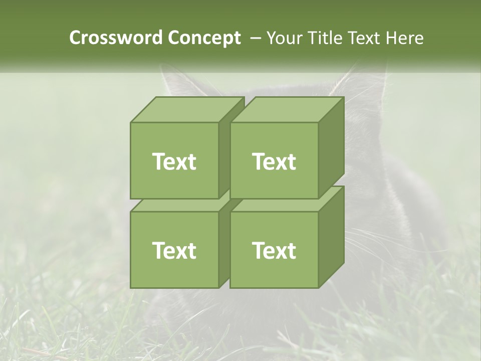 A Cat Laying In The Grass Looking At The Camera PowerPoint Template