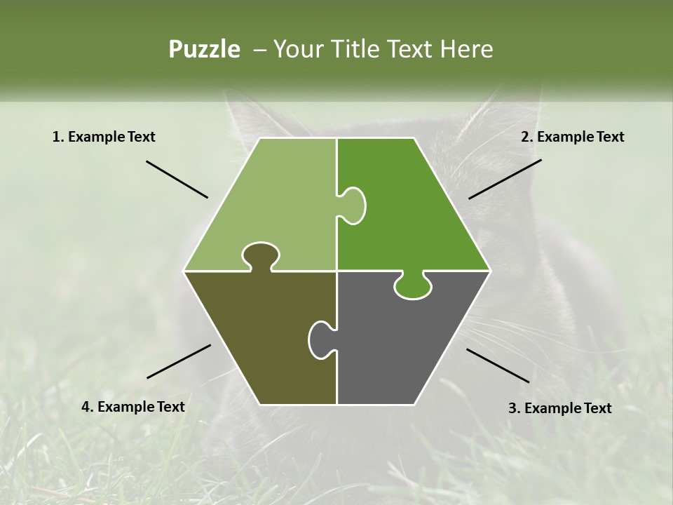 A Cat Laying In The Grass Looking At The Camera PowerPoint Template