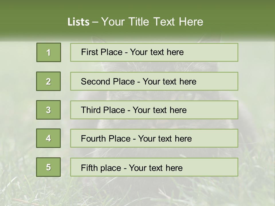 A Cat Laying In The Grass Looking At The Camera PowerPoint Template