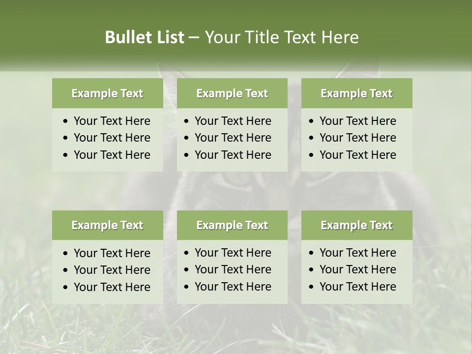 A Cat Laying In The Grass Looking At The Camera PowerPoint Template