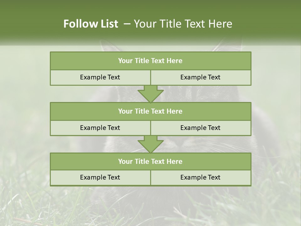 A Cat Laying In The Grass Looking At The Camera PowerPoint Template