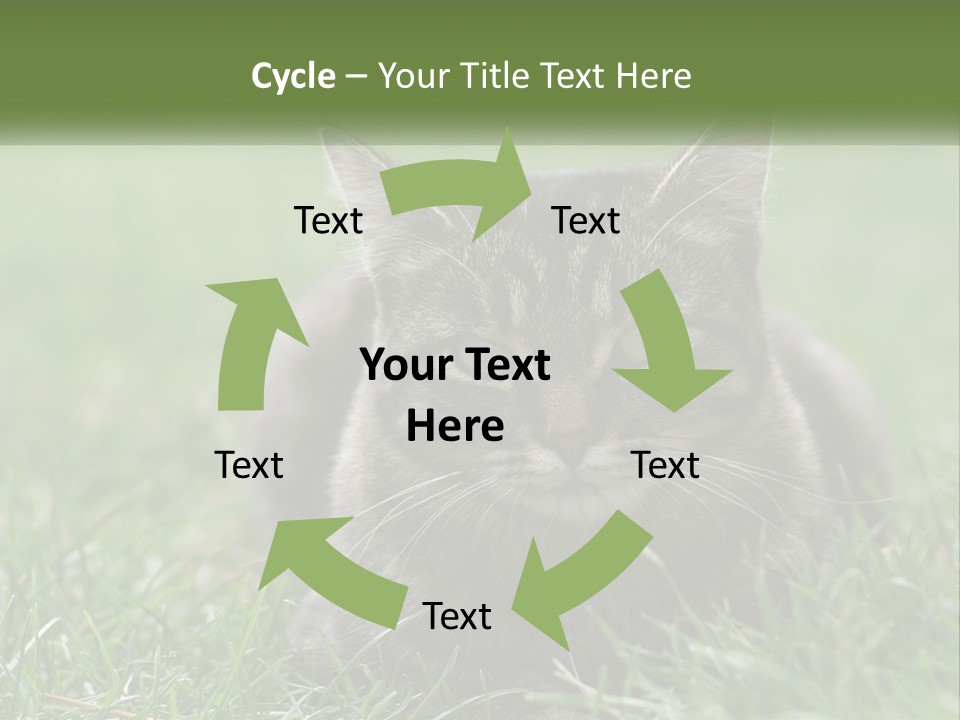 A Cat Laying In The Grass Looking At The Camera PowerPoint Template