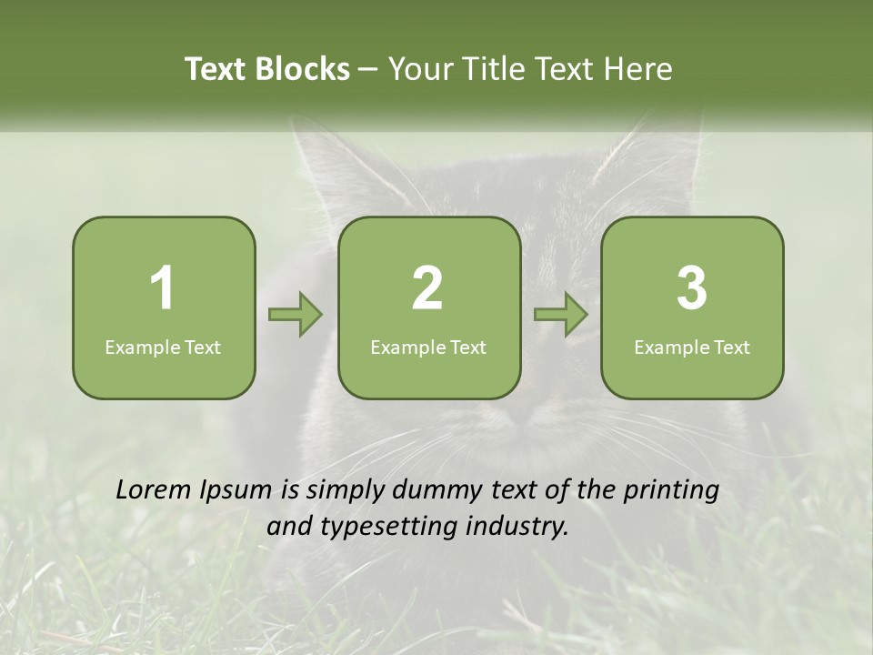 A Cat Laying In The Grass Looking At The Camera PowerPoint Template