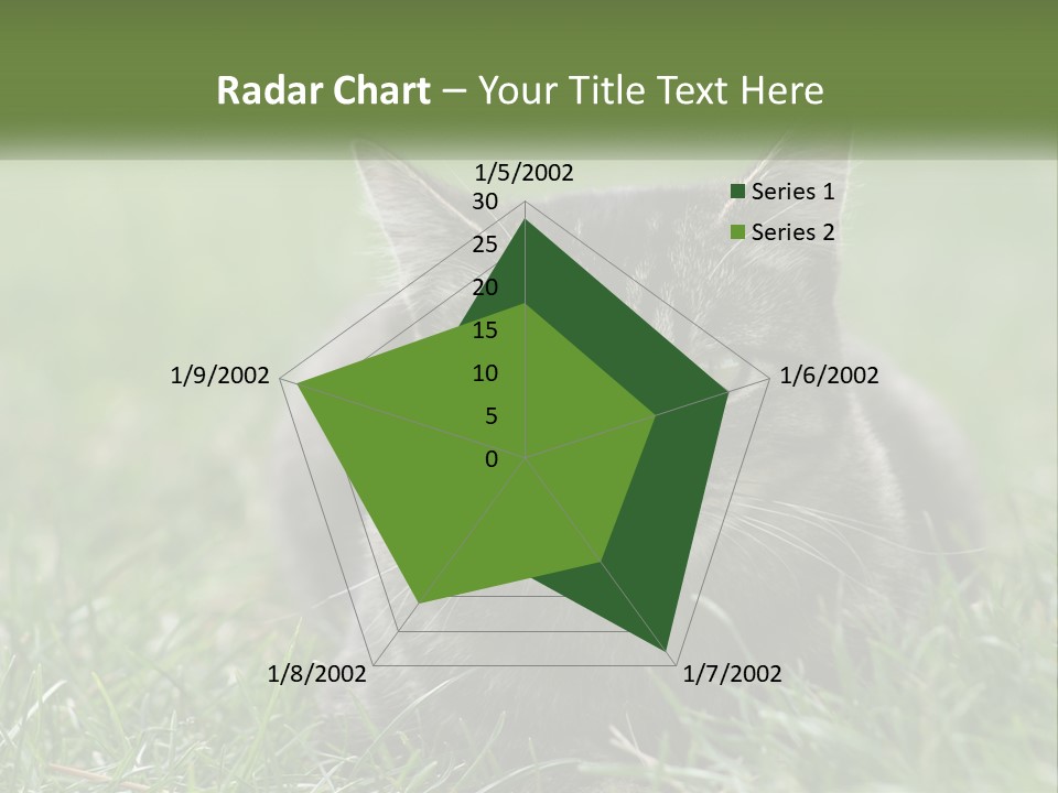 A Cat Laying In The Grass Looking At The Camera PowerPoint Template