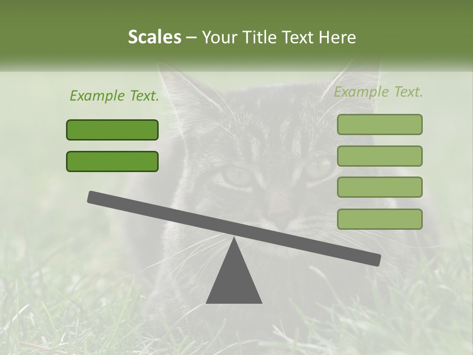 A Cat Laying In The Grass Looking At The Camera PowerPoint Template