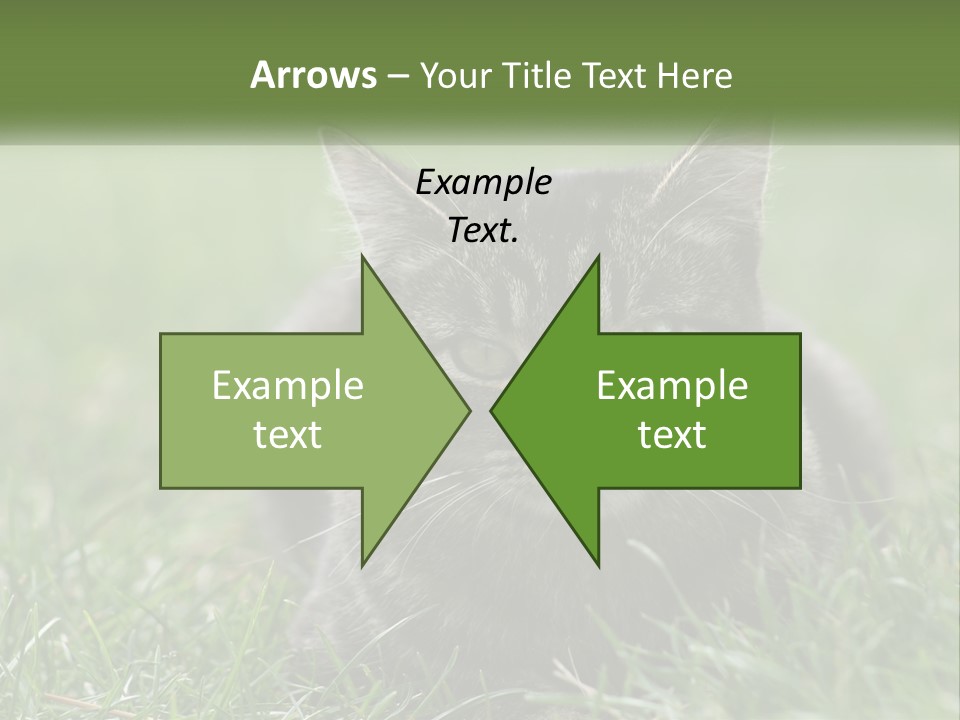 A Cat Laying In The Grass Looking At The Camera PowerPoint Template