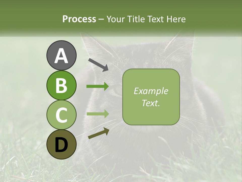A Cat Laying In The Grass Looking At The Camera PowerPoint Template
