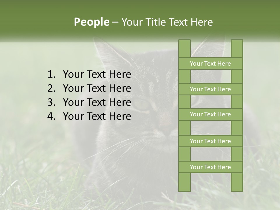 A Cat Laying In The Grass Looking At The Camera PowerPoint Template