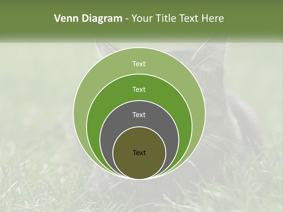 A Cat Laying In The Grass Looking At The Camera PowerPoint Template