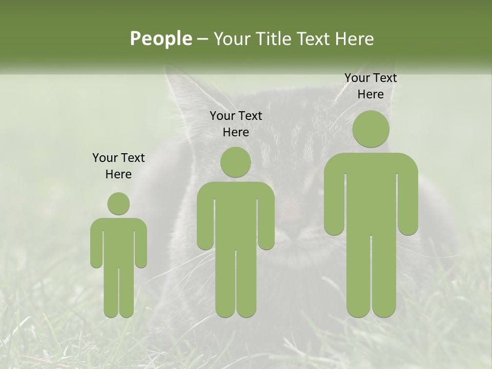 A Cat Laying In The Grass Looking At The Camera PowerPoint Template