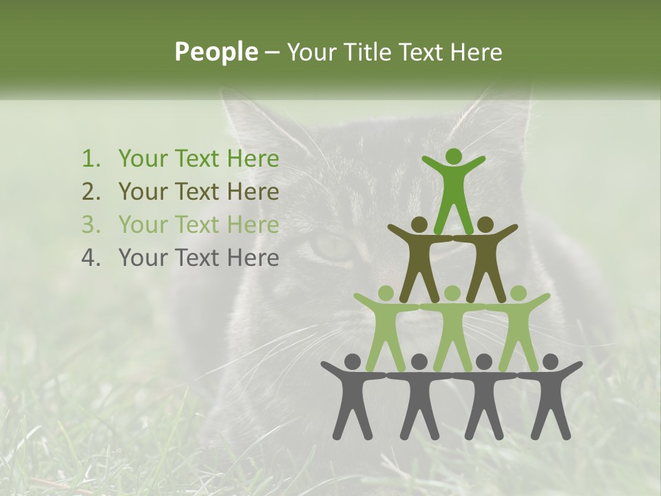 A Cat Laying In The Grass Looking At The Camera PowerPoint Template
