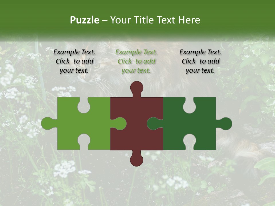 A Cat Is Standing In The Middle Of A Garden PowerPoint Template