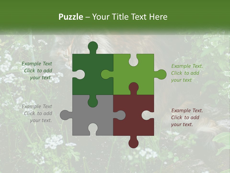 A Cat Is Standing In The Middle Of A Garden PowerPoint Template